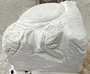 Œuvre : "Fleur sur la planète"